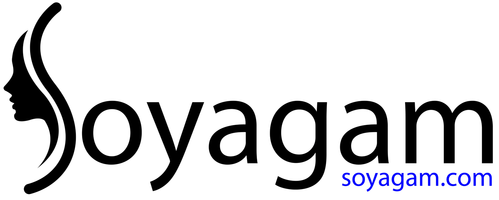 soyagam.com